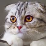 FEd_Up Profile Picture